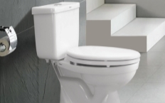 Two Pieces Toilets